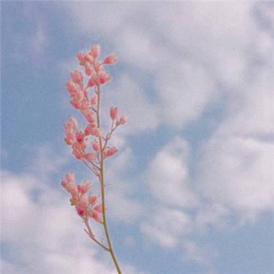 开元体育·登录入口截图