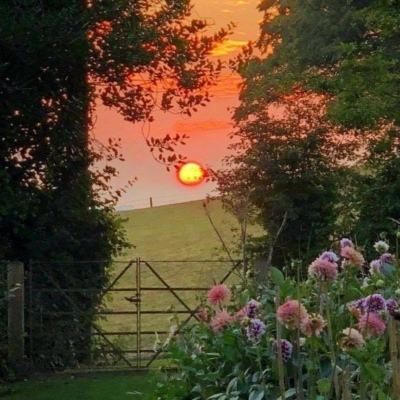 皇冠体育手机版软件