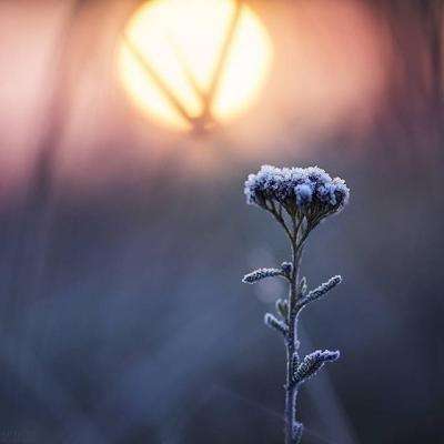 博鱼电竞手机app下载截图