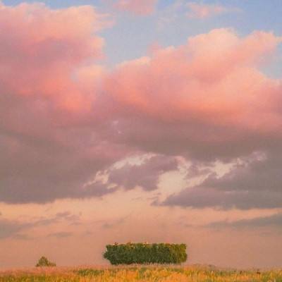 金沙乐娱app下载官网版