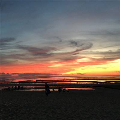 双彩网下载手机版