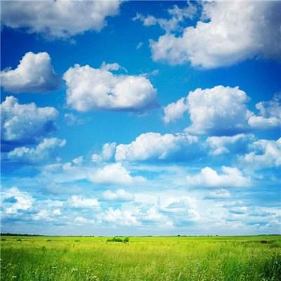 金年会娱乐app官方网站