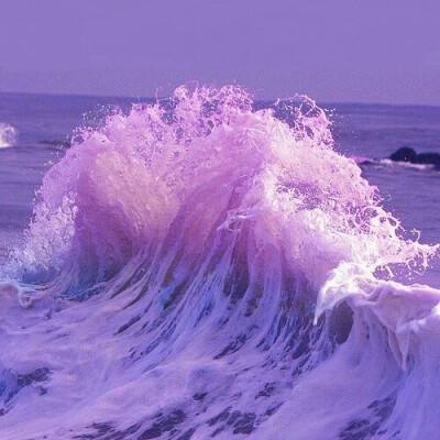 AG官方网站下载