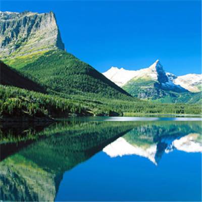 天下彩网站手机app下载截图